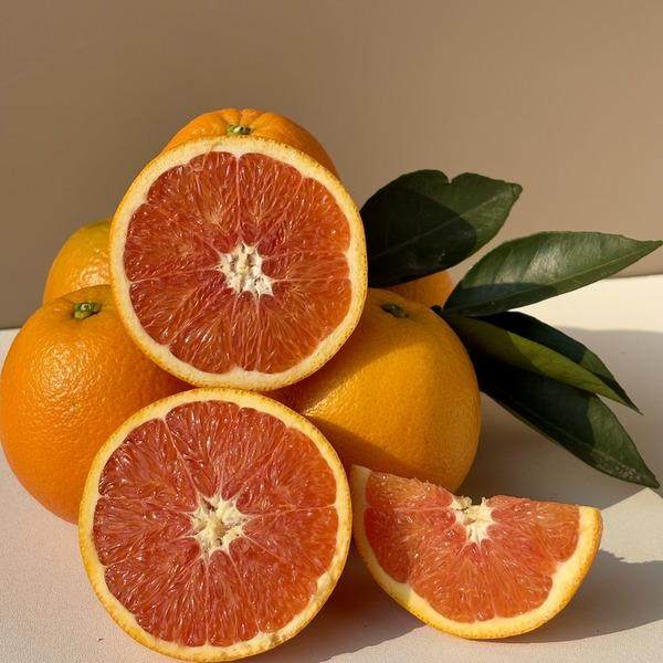 湖北秭归中华红橙血橙橙子甜橙现摘新鲜水果5/9斤,水产肉类/新鲜蔬果/熟食,橙,淘宝优惠券,粉丝福利购,淘宝优惠卷