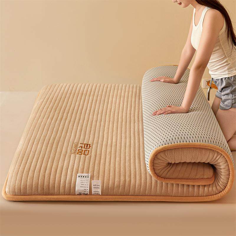 牛奶绒床垫软垫家用冬季加厚学生宿舍榻榻米保暖双人床褥冬天垫子