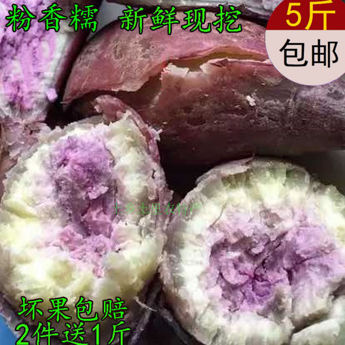 现挖紫心新鲜番薯爆皮王