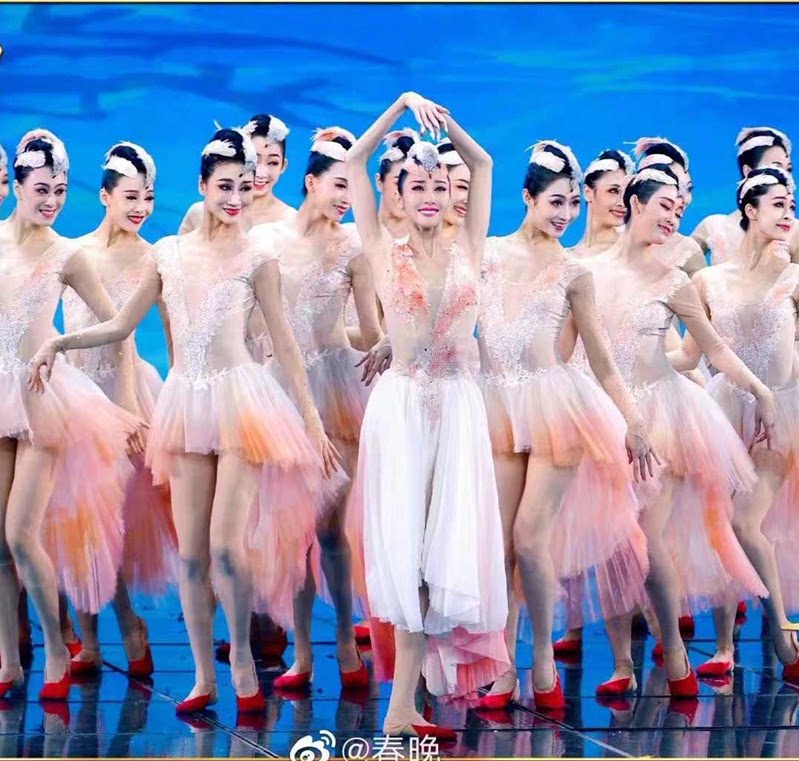 春晚朱鹮舞蹈同款表演服朱洁静艺考服现代舞群舞飘逸舞蹈服纱裙女