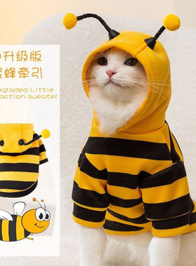 搞怪猫咪衣服防掉小蜜蜂比格犬狗狗小型可爱蓝猫春秋新款宠物卫衣