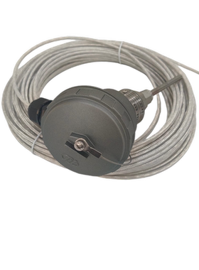 重庆川仪十七厂双支接线热电阻带补偿导线WZGPK热电阻热电偶