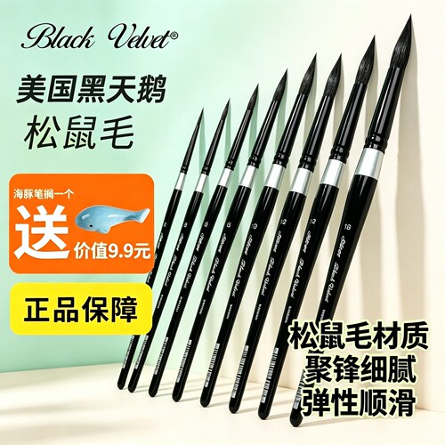 美国BlackVelvet黑天鹅6号水彩笔
