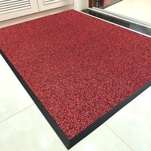 入户门地垫门口地毯门外高级感2025新款 高端室外进门耐脏脚垫门垫