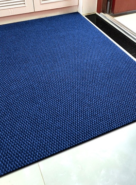 蓝色入户门新款地垫高级防滑门垫门外脚垫门口深蓝色室内大门地毯