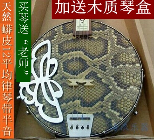 海浪乐器类广东四弦秦琴乐器演奏边助花梨木民族乐器精选蟒皮正品 - 封面