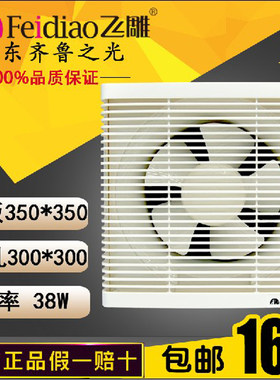 飞雕橱窗嵌入带网10寸换气扇