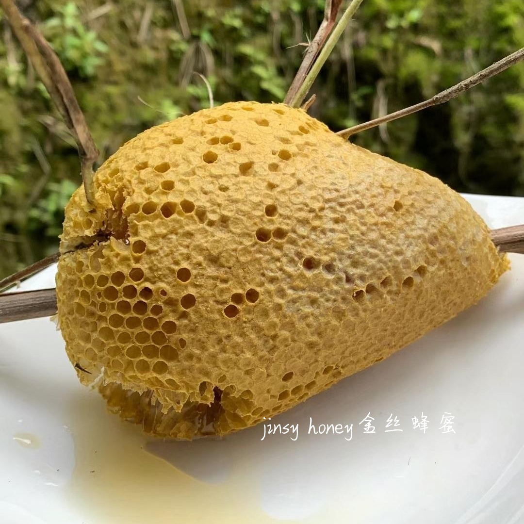 小挂蜜纯正天然广西野生挂蜂蜜小草蜂大排蜂蜜小挂蜂群儿童蜂巢蜜