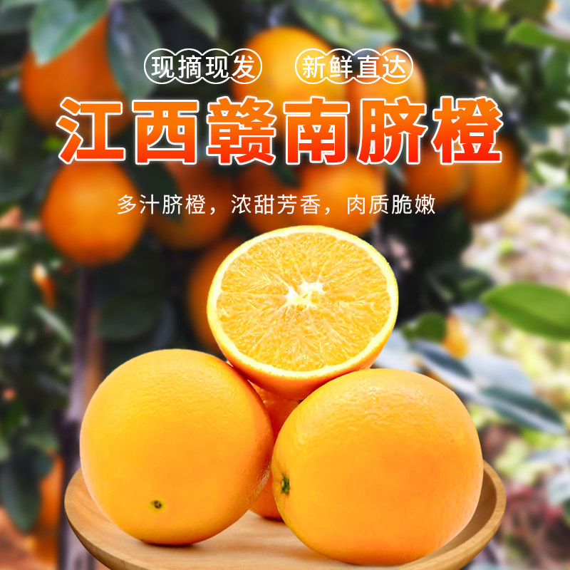 江西赣南脐橙特产现摘水果自然成熟新鲜手剥橙子果冻橙一品农铭,水产肉类/新鲜蔬果/熟食,橙,淘宝优惠券,粉丝福利购,淘宝优惠卷