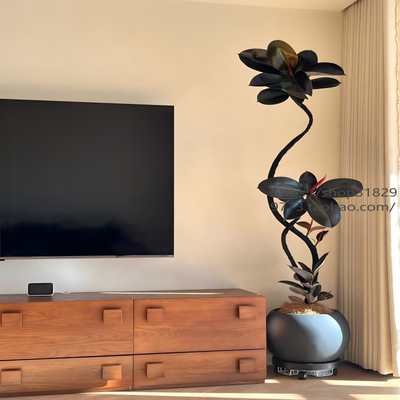 黑金刚橡皮树绿植好养活养死包赔