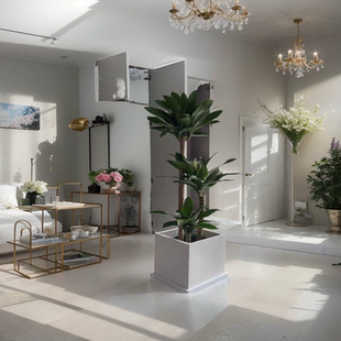 辛运巴西木盆栽大型室内绿植香龙铁树客厅好养植物除甲醛办公室花