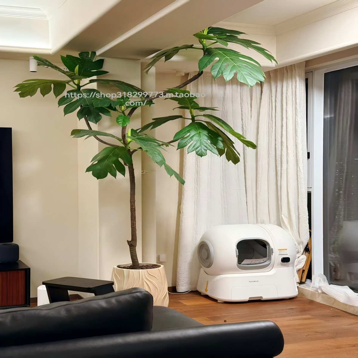 面包树盆栽大型室内客厅绿植四级好养活真花阳台植物办公室花卉,鲜花速递/花卉仿真/绿植园艺,大型绿植/成品组合盆栽,淘宝优惠券,粉丝福利购,淘宝优惠卷