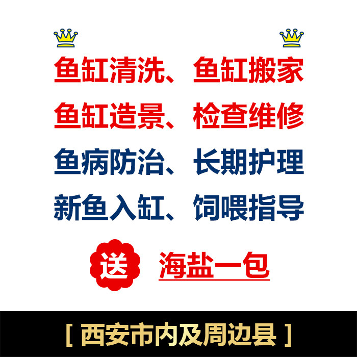 西安市鱼缸维修售后上门服务新鱼入缸清洗保养饲喂指导鱼病防治