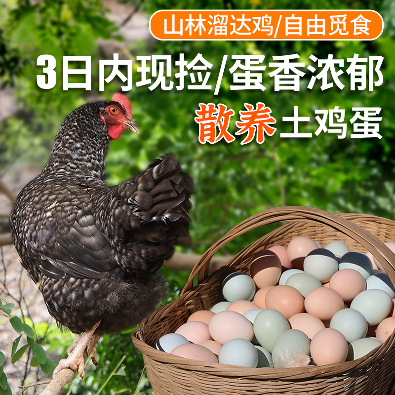 农家散养土鸡蛋数量不多