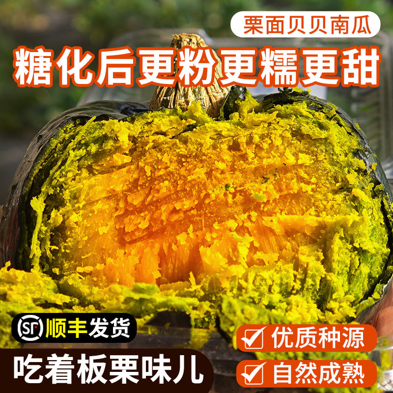 密农人家 新鲜贝贝南瓜 正宗板栗小南瓜 适合宝宝辅食 贝贝瓜干面