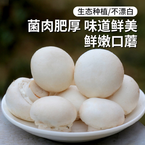 密农人家新鲜口蘑白蘑菇225g