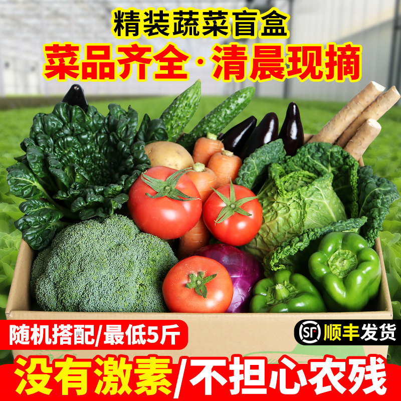 密农人家新鲜蔬菜盲盒有机蔬菜