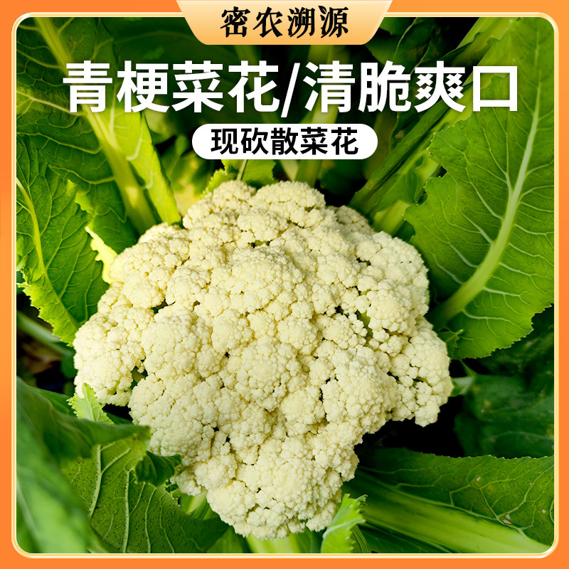 密农人家 新鲜散菜花500g 北京种植白菜花 农家蔬菜花椰菜