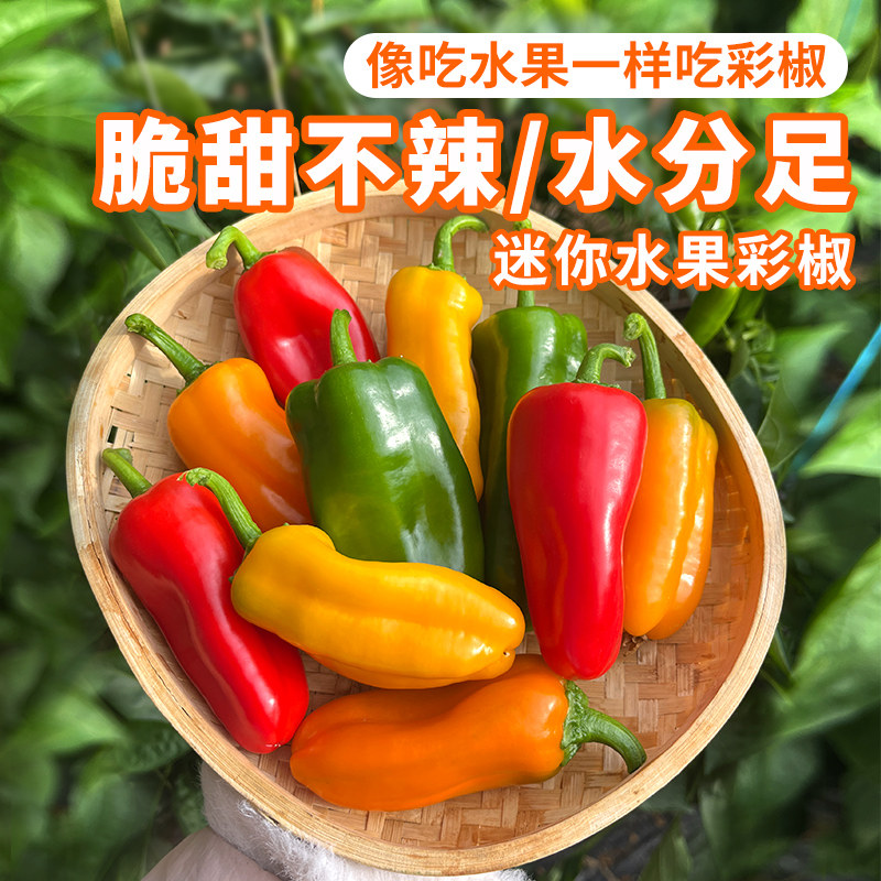 密农人家 农家新鲜迷你水果彩椒 生吃不辣水分足沙拉北京时令蔬菜,水产肉类/新鲜蔬果/熟食,辣椒,淘宝优惠券,粉丝福利购,淘宝优惠卷
