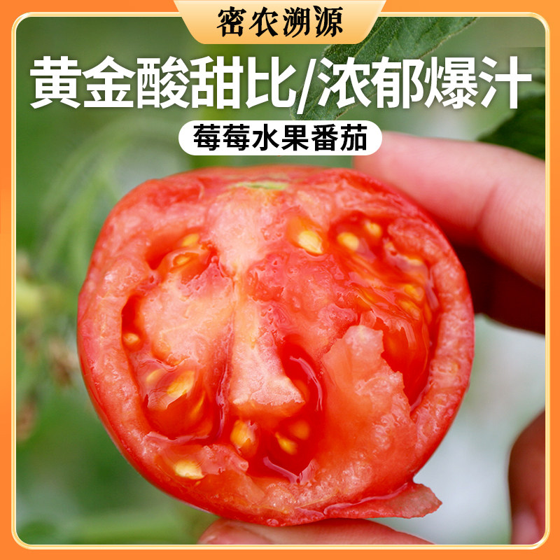 密农人家 密云莓莓水果番茄450g 酸甜新鲜水果西红柿原味一号