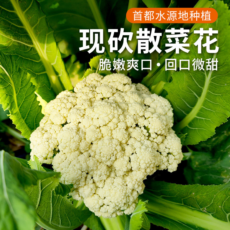 密农人家 新鲜散菜花 农家种植白菜花 鲜嫩农家蔬菜 花椰菜500g,水产肉类/新鲜蔬果/熟食,其它,淘宝优惠券,粉丝福利购,淘宝优惠卷