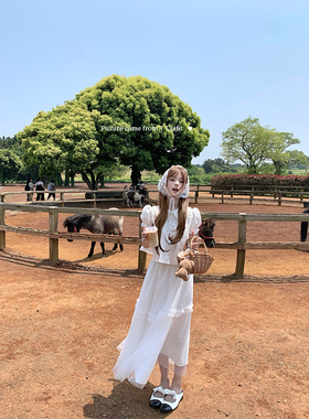 迟伞伞25/ss white回忆录 百褶彼得潘领白衬衫日牌木耳边白纱裙