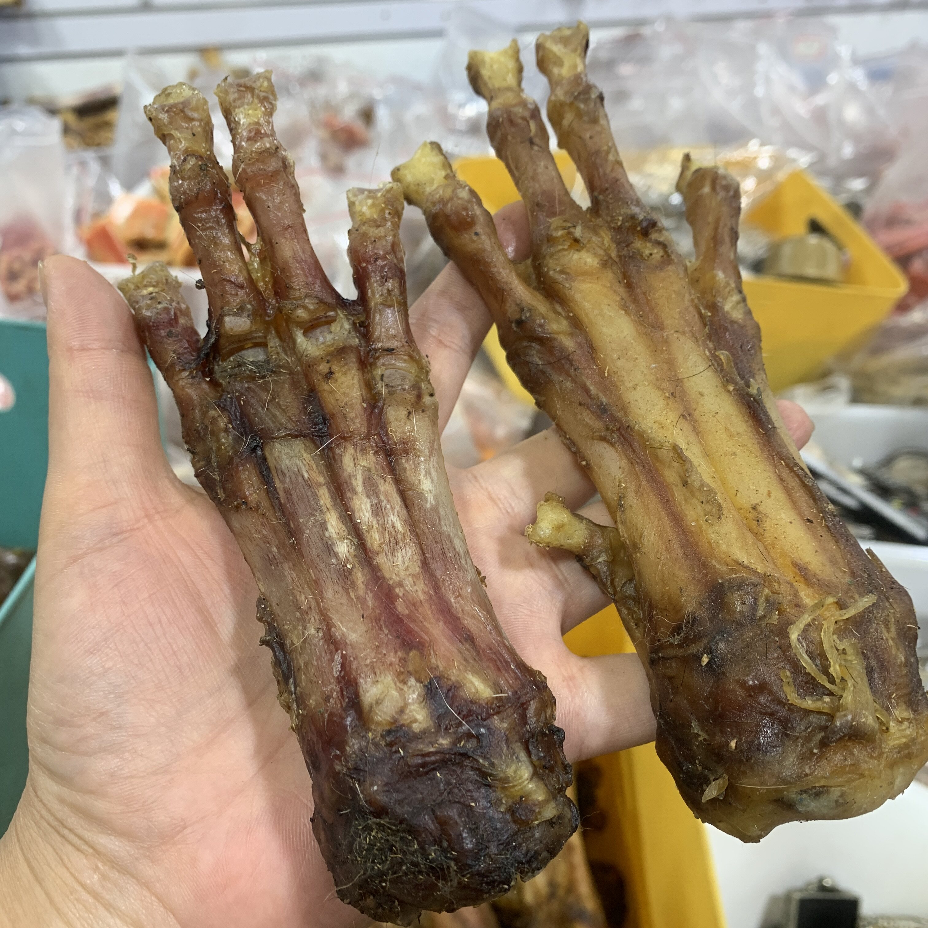 文玩杂项骆驼骨头棒子摆件手把件 真骨头