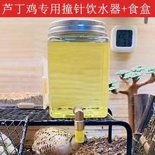 芦丁鸡喂食器饮水器卢丁鸡自动喂食器喂水器撞针水壶喝水饲料盒