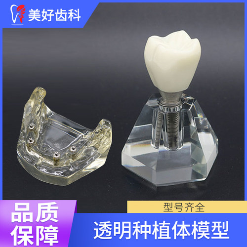 医患沟通透明无牙颌金光