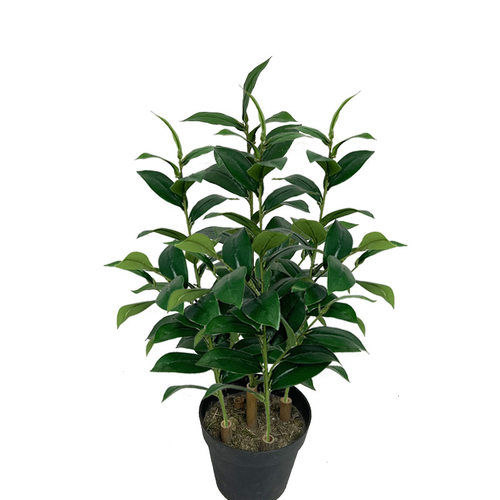 仿真植物油茶树绿植假茶叶室内装饰造景假茶树园林景观厂家