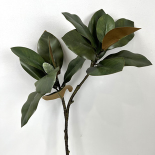 工厂直销仿真玉兰花苞仿真玉兰叶绿色叶子仿真植物仿真树配材