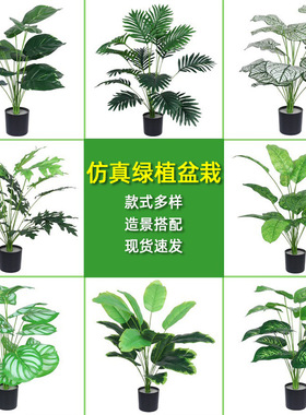 仿真绿萝盆栽绿植套装塑料花家居室内客厅茶几绿叶阳台装饰品摆件