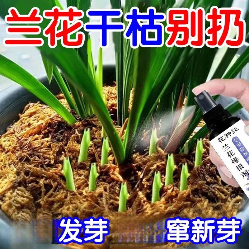 兰花专用营养液促花箭兰花肥料专用肥治黄叶黑斑烂根营养肥开花肥