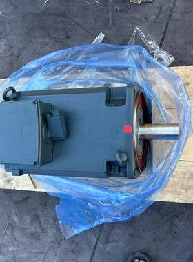 议价-西门子1PH8138-2DG2 2-0BA1水冷伺服电机全新-可维修