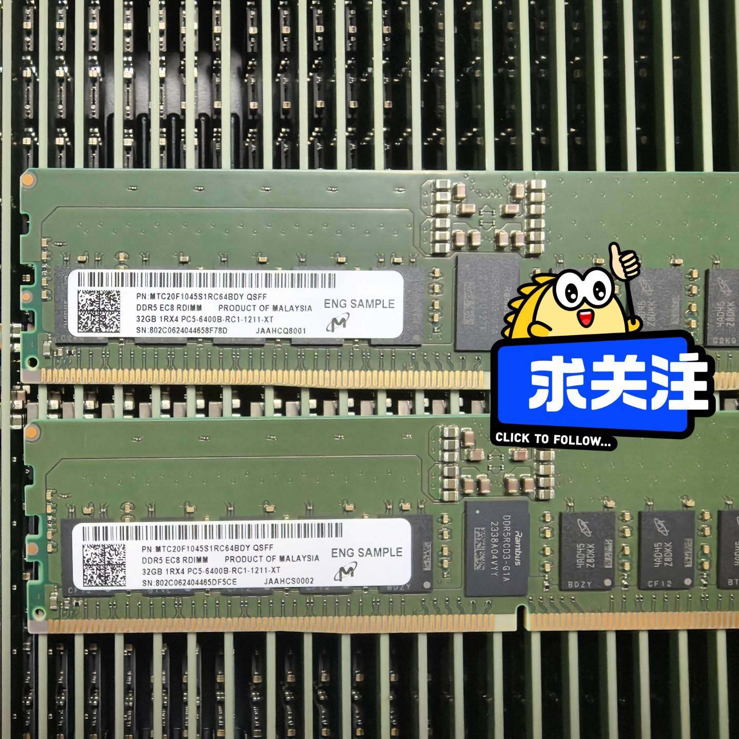 议价-镁光 32G DDR5 1Rx4 6400 RDIMM EC