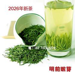 随州芽茶雪芽大洪山云雾山明前绿茶清香会跳舞的茶250克散茶实惠