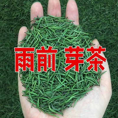 随州芽茶雨前新茶雀舌