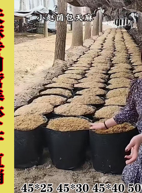 天麻专用桶营养钵黑色45*40魔芋桶天麻种植桶种植袋大号塑料加厚