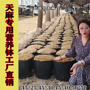 天麻专用桶营养钵黑色45 40魔芋桶天麻种植桶种植袋大号塑料加厚