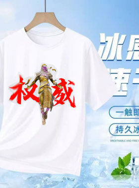权威和平精英短袖男童夏
