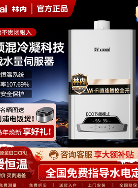 Rinnai/林内 LL1GBQ25-25Q55A一级能耗采暖生活用水两用