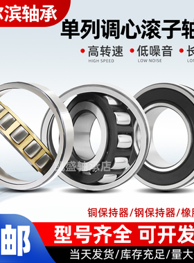 哈尔滨双面密封调心滚子轴承BS2-2205 2206 2207 2208 209-2CS