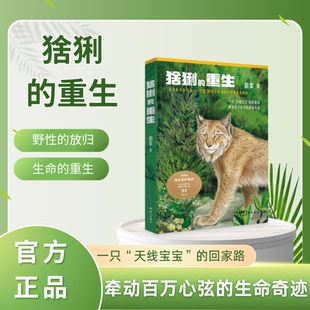 正版现货 猞猁的重生 真实猞猁救护故事 小学生课外读物 儿童文学小说