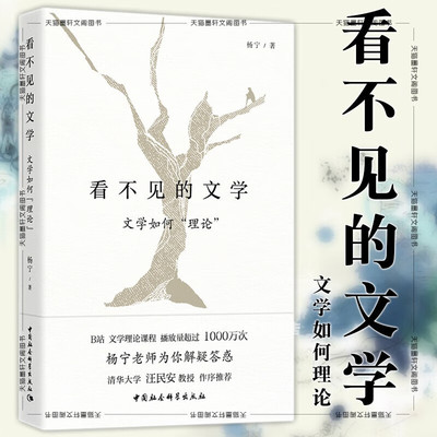 正版新书 看不见的文学 文学如何“理论” 杨宁著 小说畅销书