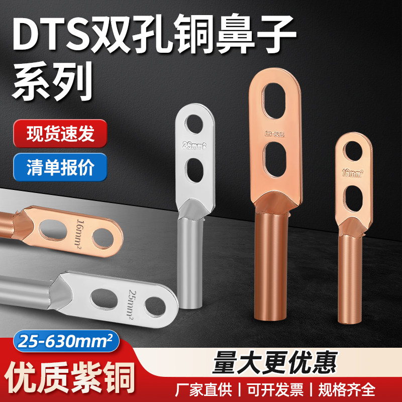 DTS双孔紫铜鼻子接线端子35/50/70/95/120/150/185/240/300平方