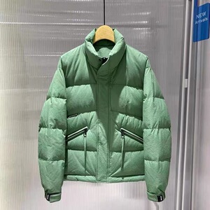 狄品冬季新款男士纯色简约百搭90白鸭绒立领羽绒服加厚保暖羽绒衣