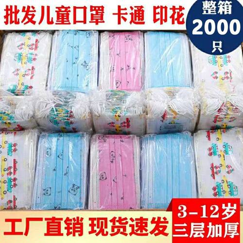 2只独立包装整箱儿童口罩