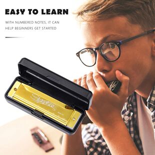 Early Educational 10 Hole 20 Tone Harmonica Music