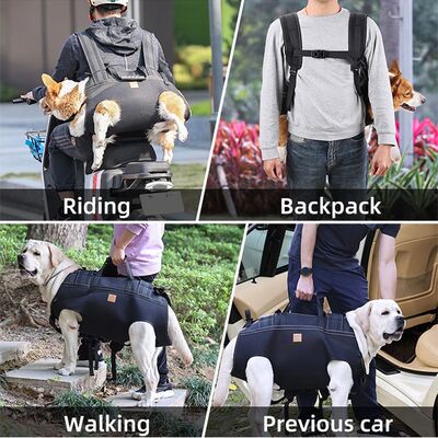 ift Harnesses with Reflective Strip for Elderly Disabled Dog
