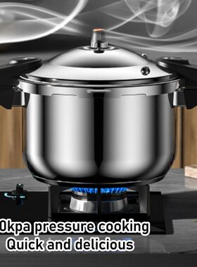 Dual Handle Pressure Cooker 80kpa Pressure Canner Stainless
